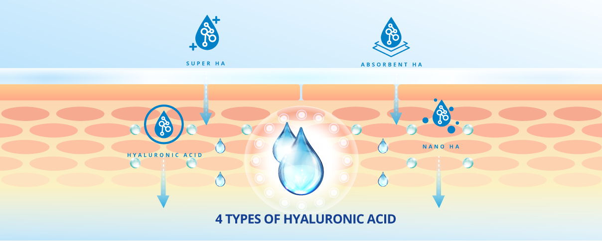 4 TYPES OF HYALURONIC ACID